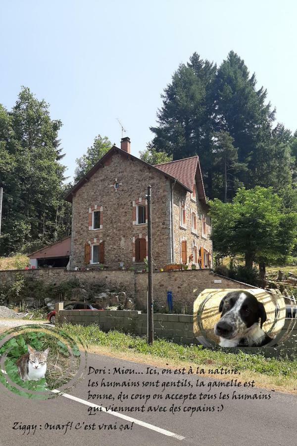 E lu chantauziau La Monnerie-le Montel Bagian luar foto